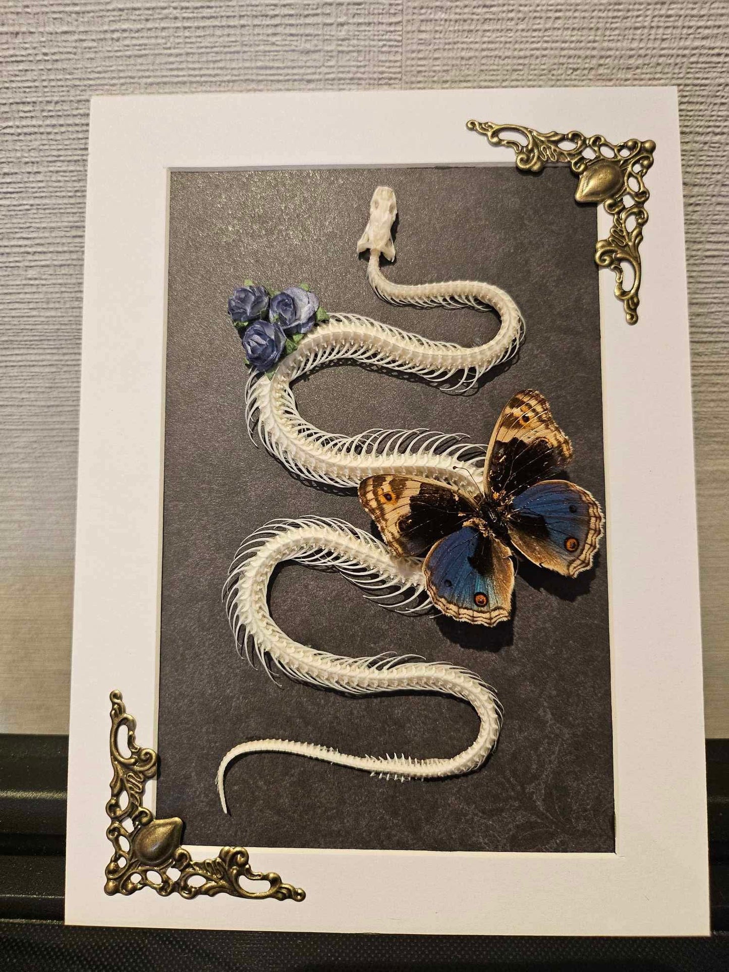 Snake and butterfly