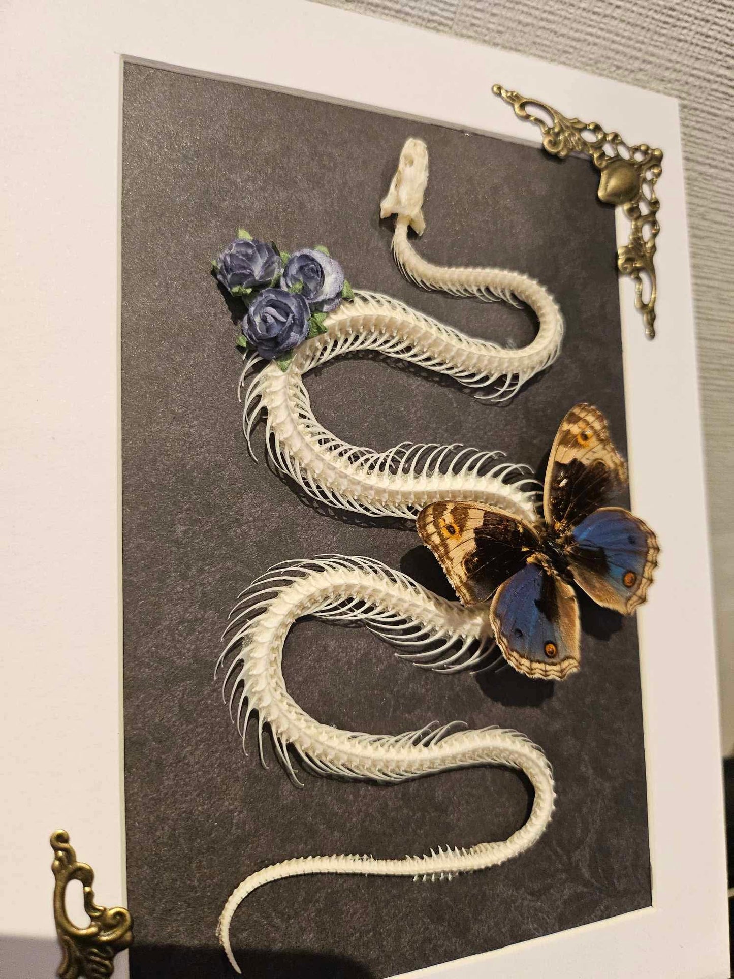 Snake and butterfly