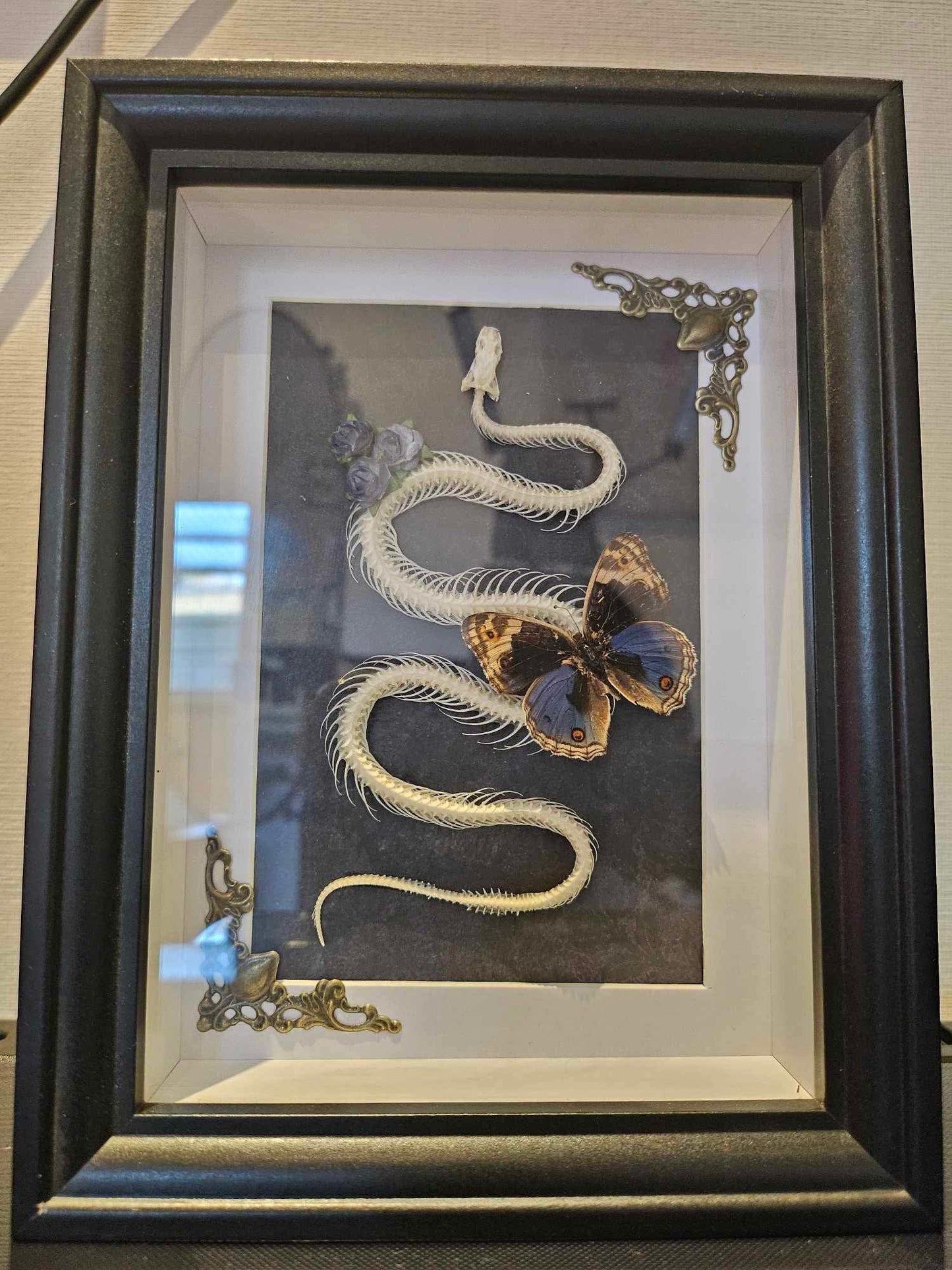 Snake and butterfly